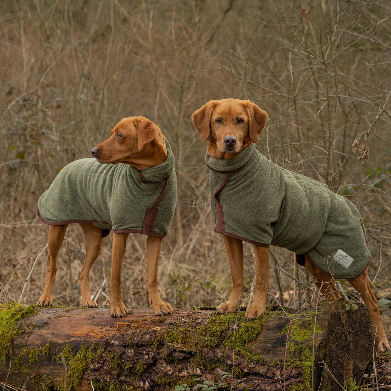 Dog drying coat Moss